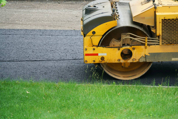 Best Driveway Maintenance Services  in Dansville, NY